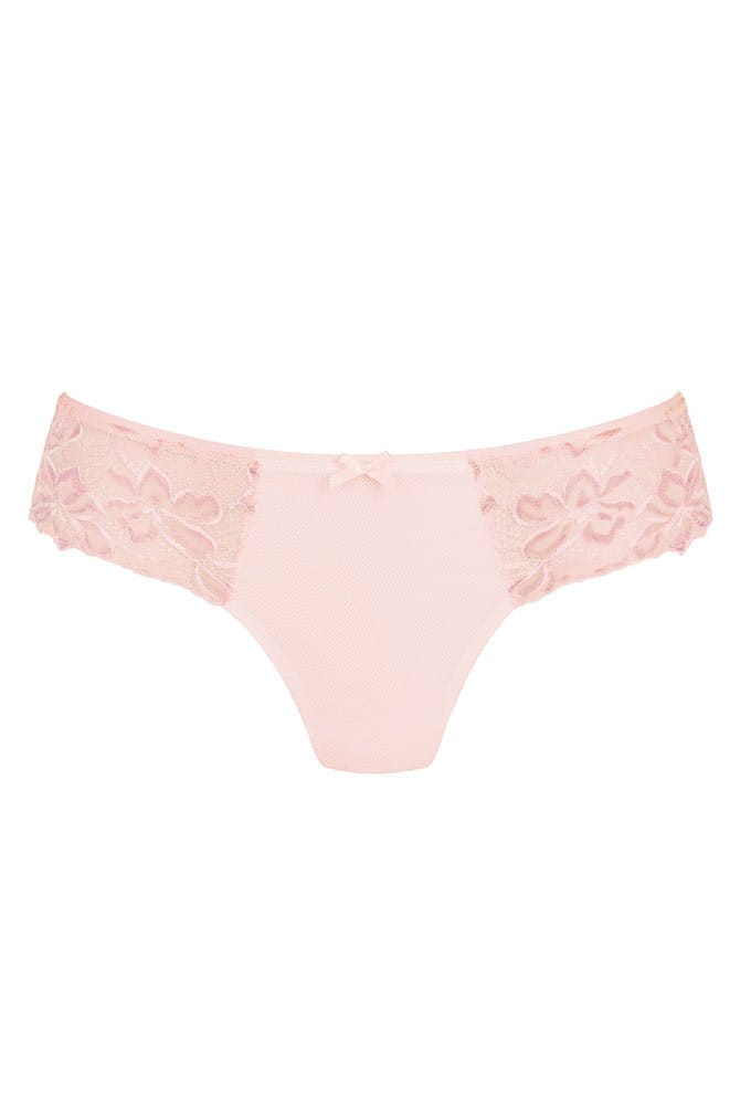 Rosa Faia Shorty Suzette 1952 wild rose - Vorderansicht