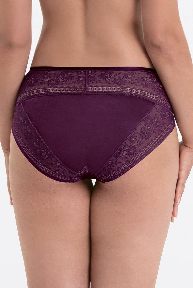 Rosa Faia Taillenslip+ Rosemary 1385 purple - Rückansicht