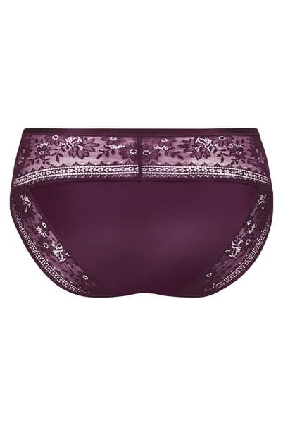 Rosa Faia Taillenslip+ Rosemary 1385 purple - Rückansicht