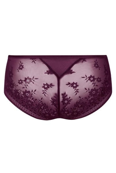 Rosa Faia Hipster Rosemary 1384 purple - Rückansicht