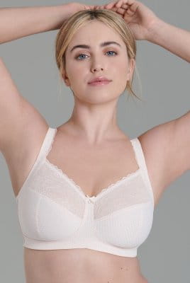Rosa Faia Soft-BH Eloise 5296 rose