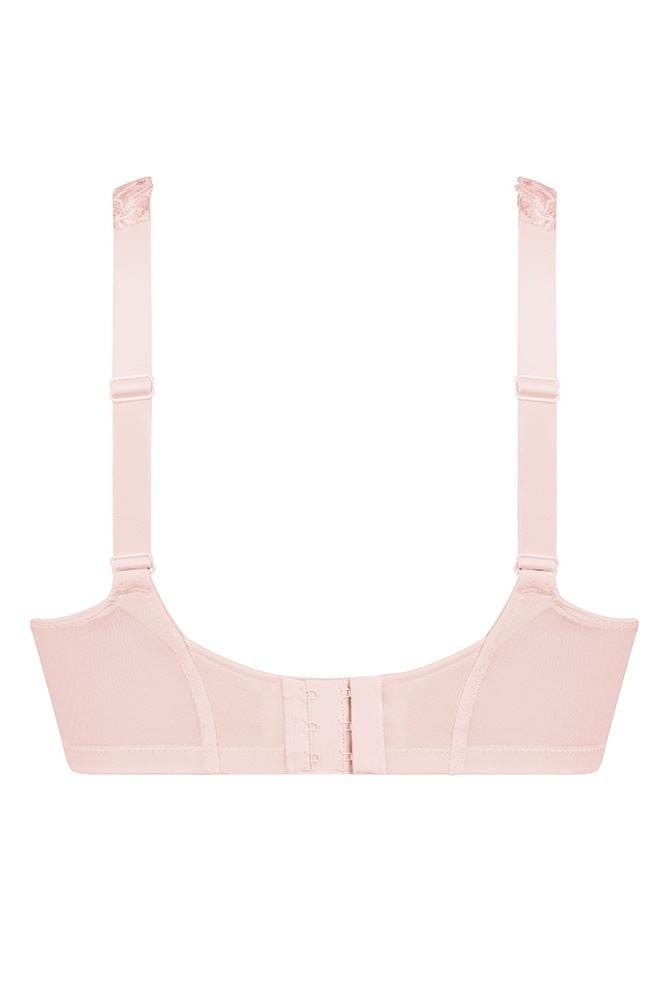 Rosa Faia Soft-BH Suzette 5254 wild rose - Rückansicht