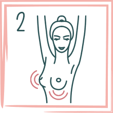 Schritt 2: Betrachten der Brust in Bewegung