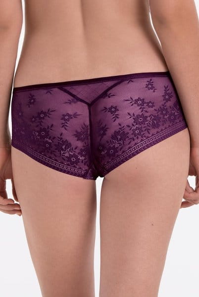 Rosa Faia Hipster Rosemary 1384 purple - Rückansicht