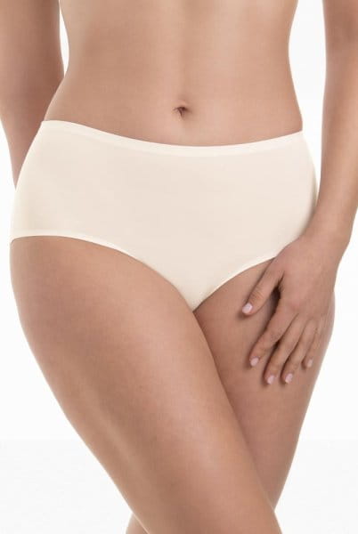 ANITA Slip Essentials High Waist+ 1343 crystal - Vorderansicht