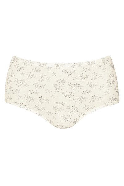 Anita Slip Essential Art High Waist+ 1346 crystal - Vorderansicht
