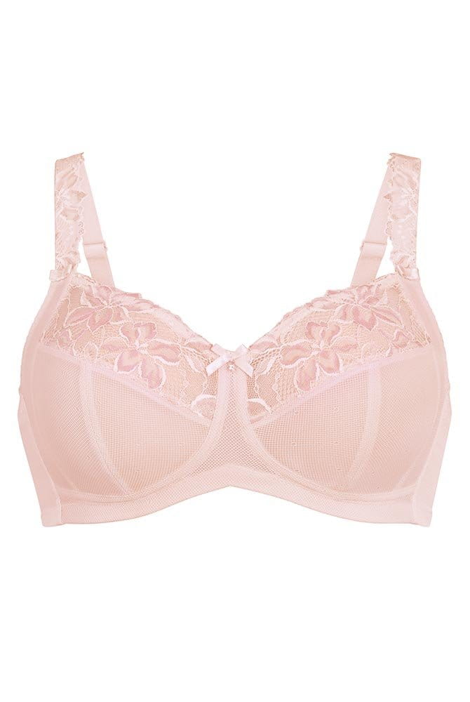 Rosa Faia Soft-BH Suzette 5254 wild rose - Vorderansicht