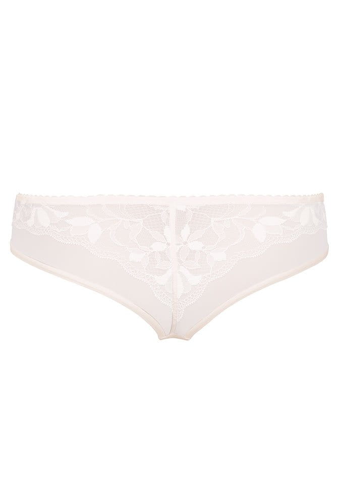 Rosa Faia Shorty Sita 1365 crystal - Rückansicht