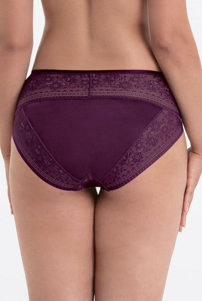 Rosa Faia Taillenslip+ Rosemary 1385 purple - Rückansicht